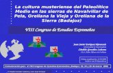 La cultura musteriense del Paleolítico Medio en las sierras de Navalvillar de Pela, Orellana la Vieja y Orellana de la Sierra (Badajoz) VIII Congreso de.