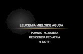 POMILIO M. JULIETA RESIDENCIA PEDIATRIA H. NOTTI LEUCEMIA MIELOIDE AGUDA.