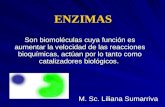 ENZIMAS Son biomoléculas cuya función es aumentar la velocidad de las reacciones bioquímicas, actúan por lo tanto como catalizadores biológicos. M. Sc.