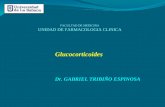 FACULTAD DE MEDICINA UNIDAD DE FARMACOLOGIA CLINICA Glucocorticoides Dr. GABRIEL TRIBIÑO ESPINOSA.