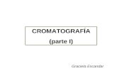 CROMATOGRAFÍA (parte I) Graciela Escandar. Conceptos generales Clasificación La elución en cromatografía en columna Resolución Sistemas cromatográficos.