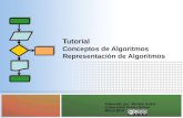 Tutorial algoritmo representacion