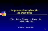 1 Programa de certificación de Black Belts IV. Seis Sigma – Fase de definición P. Reyes / Abril 2009.
