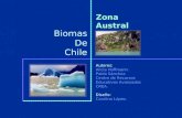 Biomas De Chile Zona Austral Autores: Alicia Hoffmann. Pablo Sánchez. Centro de Recursos Educativos Avanzados CREA. Diseño: Carolina López.