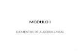 MODULO I ELEMENTOS DE ALGEBRA LINEAL 1. SISTEMAS DE ECUACIONES LINEALES El estudio de los sistemas de Ecuaciones Lineales y sus soluciones es uno de los.