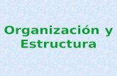Organización y Estructura. REESTRUCTURAR = REORGANIZAR ORGANIZACIÓN = ESTRUCTURA.