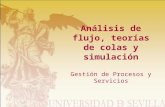 Análisis de flujo, teorías de colas y simulación Gestión de Procesos y Servicios.