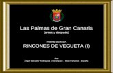 Las Palmas de Gran Canaria (antes y después) PARTE OCTAVA RINCONES DE VEGUETA (I) Por: Ángel Salvador Rodríguez y Henríquez – Islas Canarias - España.