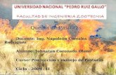 Quema de Pasturas Docente: Ing. Napoleón Corrales Rodríguez Alumno: Johnatan Coronado Olano Curso: Producción y manejo de Pasturas Ciclo : 2009 - II.