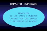 IMPACTO ESPERADO REDUCCION DE LOS CASOS Y MUERTES CAUSADA POR LOS BROTES Y EPIDEMIAS DE DENGUE.