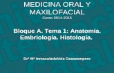 Drª Mª InmaculadaVela Casasempere MEDICINA ORAL Y MAXILOFACIAL Curso 2014-2015 Bloque A. Tema 1: Anatomía. Embriología. Histología.