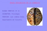 BASES BIOLÓGICAS DE LA CONDUCTA BLOQUE TEMÁTICO: Nº II ASIGNATURA: Psicología PROFESOR: Juan Jiménez Arana Departamento de Filosofía.