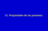 15. Propiedades de las proteínas. Titulación ácido-base de una proteína pI Carga positiva neta Carga negativa neta.
