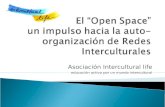 Asociación Intercultural life educación activa por un mundo intercultural.