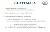 GUATEMALA Consejo Nacional de Acreditación  Oficina Guatemalteca de Acreditación (OGA) Centro Nacional de Metrologia (CENAME) Organizaciones que agrupan.