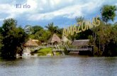 AMAZONAS El río El Amazonas es el río más largo, más caudaloso, más ancho y más profundo del mundo. El río Nilo tiene 6. 671 km. El Amazonas 7.020 km.