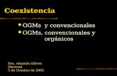 Coexistencia OGMs y convencionales OGMs, convencionales y orgánicos Dra. Amanda Gálvez Mariscal 5 de Octubre de 2005.