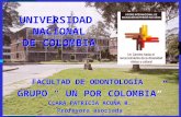 UNIVERSIDAD NACIONAL DE COLOMBIA FACULTAD DE ODONTOLOGÍA GRUPO “ UN POR COLOMBIA” CLARA PATRICIA ACUÑA R. Profesora asociada FACULTAD DE ODONTOLOGÍA GRUPO.