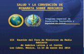 1 |1 | SALUD Y LA CONVENCIÓN DE MINAMATA SOBRE MERCURIO Programa Especial de Desarrollo Sostenible y Equidad en Salud XIX Reunión del Foro de Ministros.