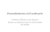 Procedimiento civil ordinario Profesor Edinson Lara Aguayo Doctor en Derecho por la Universidad de Sevilla.