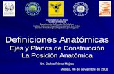 Definiciones Anatómicas Ejes y Planos de Construcción La Posición Anatómica Dr. Carlos Pérez Mujica Universidad de Los Andes Facultad de Medicina Departamento.