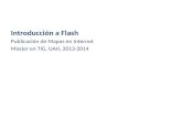 Introducción a Flash Publicación de Mapas en Internet Master en TIG, UAH, 2013-2014.