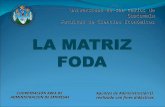 Universidad de San Carlos de Guatemala Facultad de Ciencias Económicas COORDINACIÓN AREA DE ADMINISTRACION DE EMPRESAS Apuntes de Administración II, realizado.