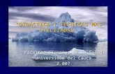 “DIDÁCTICA Y TÉCNICAS MAS UTILIZADAS” Facultad Ciencias de la Salud Universidad del Cauca 2.007.
