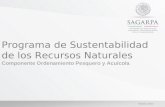 Programa de Sustentabilidad de los Recursos Naturales Componente Ordenamiento Pesquero y Acuícola Febrero 2013.