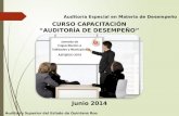 CURSO CAPACITACIÓN “AUDITORÍA DE DESEMPEÑO” Junio 2014 Auditoría Superior del Estado de Quintana Roo Auditoría Especial en Materia de Desempeño.