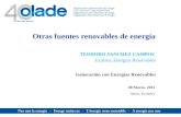 Otras fuentes renovables de energ­a Generaci³n con Energ­as Renovables TEODORO SANCHEZ CAMPOS Experto, Energ­as Renovables 08 Marzo, 2013 Quito, Ecuador