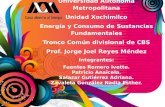 Universidad Autónoma Metropolitana Unidad Xochimilco Energía y Consumo de Sustancias Fundamentales Tronco Común divisional de CBS Prof. Jorge Joel Reyes.
