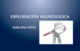 EXPLORACIÓN NEUROLOGICA Dalia Rizo MPSS. Exámen neurologico Exploración física: Localización de la lesión Tipo de lesión.