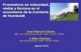 Pronósticos de nubosidad, niebla y llovizna en el ecosistema de la Corriente de Humboldt José Manuel Gálvez SRG and International Desks / WPC / NCEP