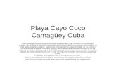 Playa Cayo Coco Camagüey Cuba Este complejo turístico le está prohibido al pueblo de Cuba, violando la Constitución cubana. Se esgrime el embargo norteamericano.