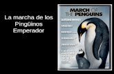 La marcha de los Pingüinos Emperador Un documental de Luc Jacquet.