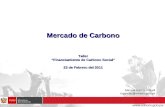 Manuel García-Rosell mgarciar@minam.gob.pe Mercado de Carbono Taller “Financiamiento de Carbono Social” 23 de Febrero del 2011.