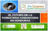 EL FUTURO DE LA FORESTERIA COMUNITARIA EN HONDURAS.