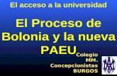 Colegio MM. Concepcionistas BURGOS El acceso a la universidad El Proceso de Bolonia y la nueva PAEU.