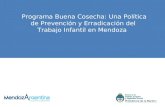 Programa Buena Cosecha: Una Política de Prevención y Erradicación del Trabajo Infantil en Mendoza.