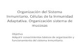 Objetivo Adquirir conocimientos básicos de organización y funcionamiento del sistema inmunitario.
