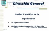 17/09/2014 1 Dirección General Unidad 1: Análisis de la organización 1.La organización viable 2.Dinámica de la organización y la dirección 2011 Lic. Cristina.