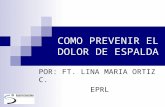 COMO PREVENIR EL DOLOR DE ESPALDA POR: FT. LINA MARIA ORTIZ C. EPRL.