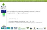 PROYECTO POSICIONAMIENTO DE LA GOBERNANZA FORESTAL EN COLOMBIA Diagnóstico de los procesos de Prevención, Control, Seguimiento y Vigilancia Forestal Instructivo.