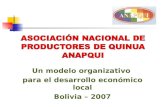 Un modelo organizativo para el desarrollo económico local Bolivia – 2007.