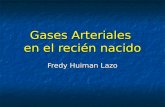 Gases Arteriales en el recién nacido Fredy Huiman Lazo.