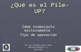 ¿Qué es el Pile - UP? Cómo trabajarlo exitosamente Tips de operación Por: Ing. Alejandro Valdez, XE1EE RadioClub Querétaro, A.C. Grupo DXXE.