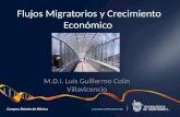 Campus Estado de México Flujos Migratorios y Crecimiento Económico M.D.I. Luis Guillermo Colín Villavicencio.