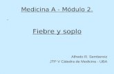Medicina A - Módulo 2. Fiebre y soplo Alfredo R. Semberoiz JTP V Cátedra de Medicina - UBA.