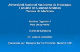 Universidad Nacional Autónoma de Nicaragua Facultad de Ciencias Médicas Carrera de Medicina Módulo Digestivo I Piso de la Pelvis II año de Medicina Dr.